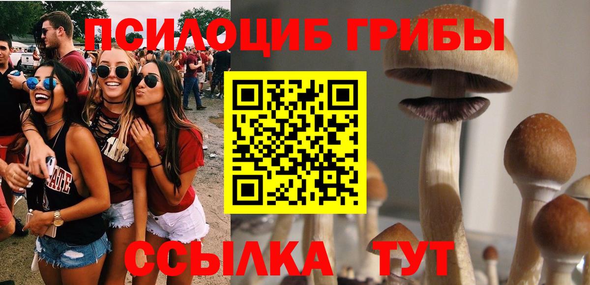 где найти   Псилоцибиновые грибы MAGIC MUSHROOMS  Псилоцибиновые грибы ЛСД  Вход с VPN  Минусинск 