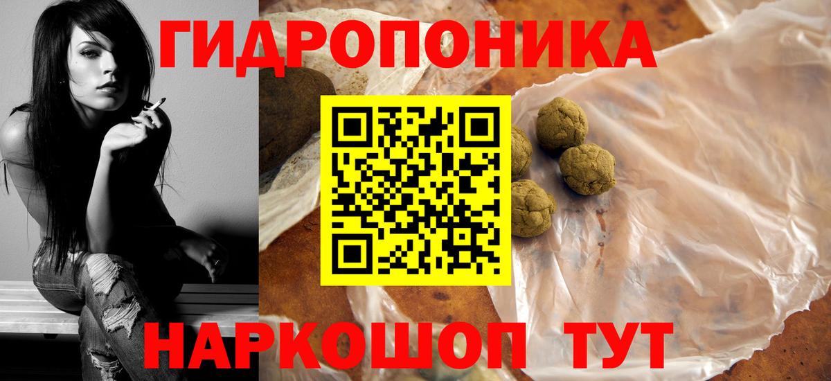 Шишки марихуана план  Вход с VPN  Минусинск  Шишки марихуана планчик  Шишки марихуана Bruce Banner 